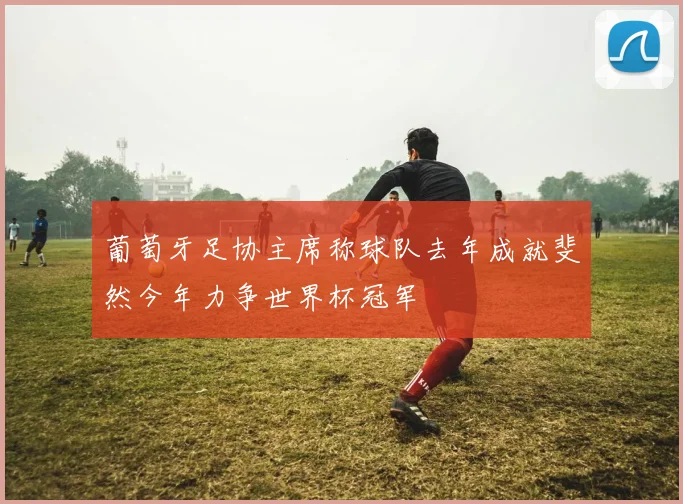 葡萄牙足协主席称球队去年成就斐然今年力争世界杯冠军