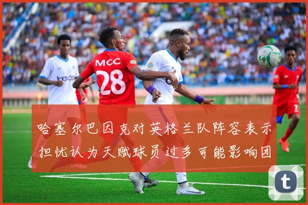 哈塞尔巴因克对英格兰队阵容表示担忧认为天赋球员过多可能影响团队合作
